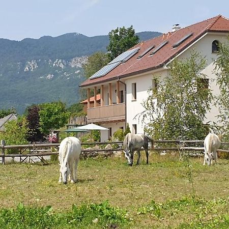Lipizzaner Lodge Guest House Postojna Exterior foto